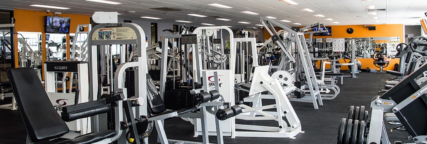 Fitness and Gyms Fitness and Gyms